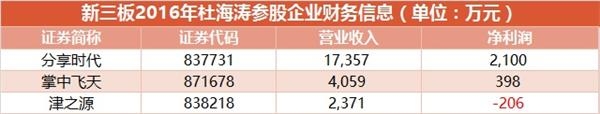 2016年新三板杜海涛参股企业财务信息 