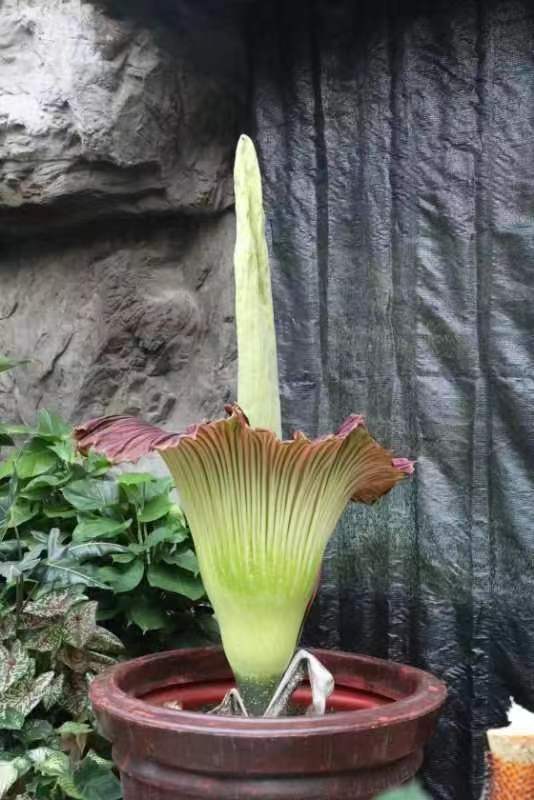 202207250920075fYwBF.jpg 9921ab45cb6bf12b391fc7389a100cd.jpg