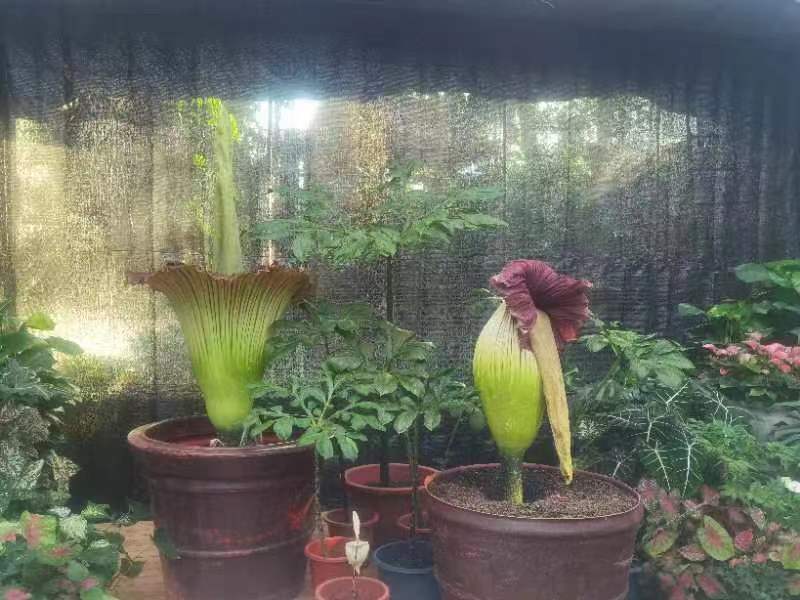 20220725092023ldxZNF.jpg 001690f138b880da14d8b2af9945426.jpg